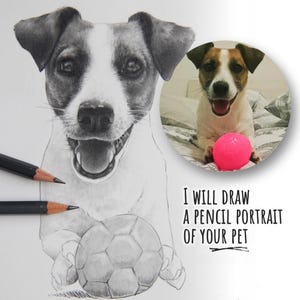 Ritratto di animale domestico personalizzato su carta / Illustrazione realistica disegnata a mano da foto / Regalo commemorativo per animali / Regalo per il proprietario di animali domestici / Arte per animali domestici