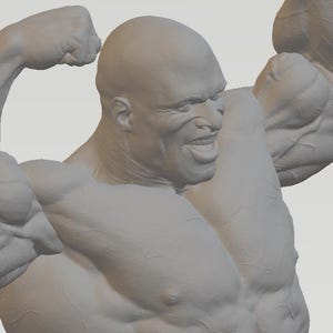 Op de afbeelding: Een grijze sculptuur van een gespierde figuur die zijn armen buigt. De figuur heeft een kale kop en een vastberaden gezichtsuitdrukking. De sculptuur is gedetailleerd en toont spierdefinitie.