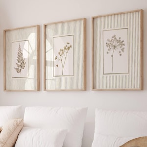 May include: Three framed wall art prints featuring botanical illustrations of a fern, baby's breath, and a dandelion seed head. Each print is encased in a light wood frame with a vertical striped background and a thin gold border around the plant.