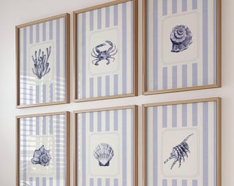 Blue Coastal Seashell Gallery Wall Art Set – Nautical Cottagecore Prints (Instant Download)