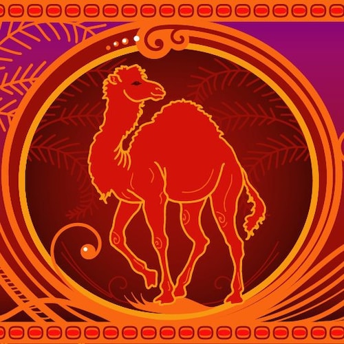 hidden pictures on camel cigarettes What Is Hidden In The Camel Cigarettes Logo Hidden Images CAMEL CIGARETTE  LIGHTER COLLECTORS CASH CATALOG SPECIAL LIGHTS TIN W MATCHES NIB Cigarette  Pack Australia