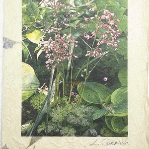 Carte de voeux faite main Coral Bells - Carte de voeux jardin nature - Carte de voeux vierge pour toutes les occasions