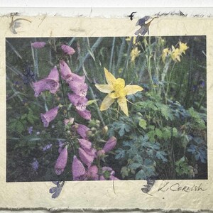Fingerhut und Akelei Grußkarte-Gartenblumen Grußkarte-Natur Gartenkarte