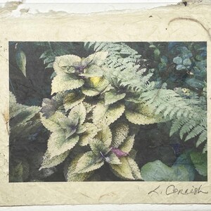 Tarjeta de felicitación con flores de coleus y helechos - Tarjeta de felicitación de jardín natural