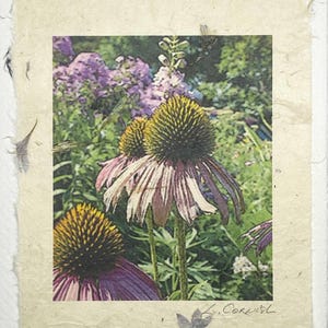 Sonnenhut Grußkarte-Gartenblumen Grußkarten-handgemachte Blume Echinacea Karte