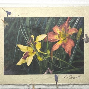 Tarjeta de felicitación con azucenas de colores, flores de jardín y para cualquier ocasión.