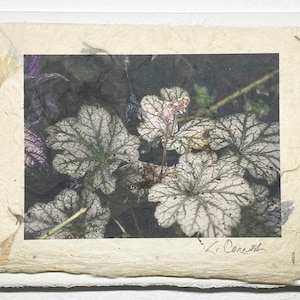 Tarjeta de felicitación hecha a mano con campanas de coral, planta de heuchera y jardín natural.