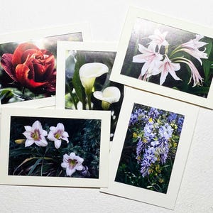 Cartões de presente com fecho de flores 3x4 - cartões de presente com fotografia de flores feitos à mão