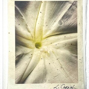 Mond Blume Grußkarte-Original signierte Blumen Karte-Nature garden flower Grußkarte