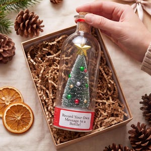 Op de afbeelding: Een doorzichtige glazen fles met een kurkstop die een miniatuur groene kerstboom bevat, bekroond met een gouden ster en versierd met kleine kleurrijke ornamenten. Een wit etiket op de fles vermeldt, Record Your Own Message In a Bottle!
