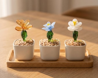 Glass Cactus Flower Decor, Mini Succulent Pot, Botanical Desk Decor, Plant Lover Gift, Cute Home Accent