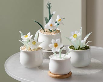Glazen narcis in pot, decor narcis, botanisch cadeau voor bureau plank kantoor aan huis