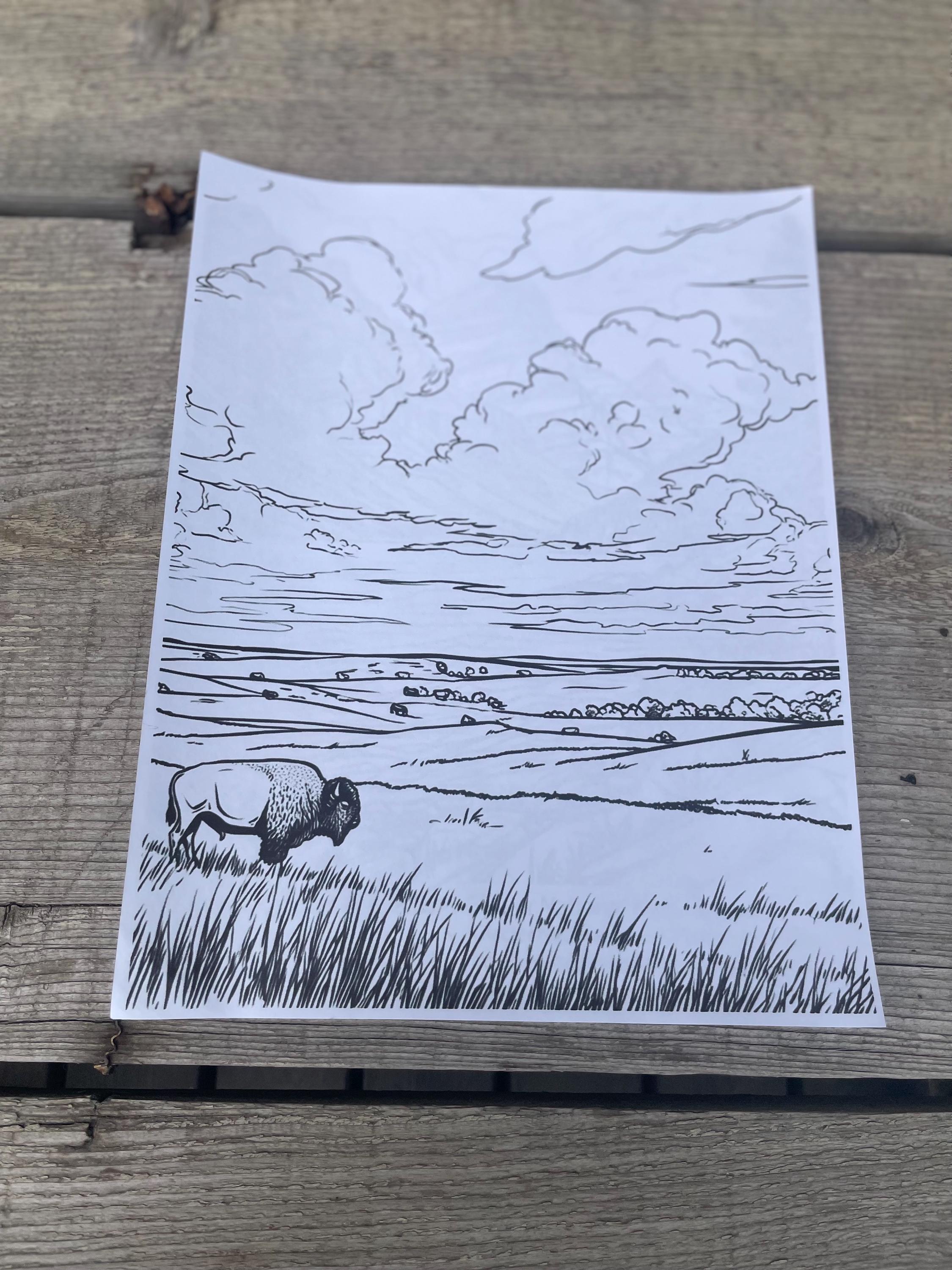 Coluring In Rainer's National Park, Coloring Page for Kids, Nature Coloring Page, Kids ...