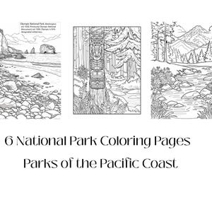 Nature Coloring Page, Camping Activity, National Park Coloring, Kids Coloring Pages, Adult Coloring, National Park Kid, Adult Coloring Pages