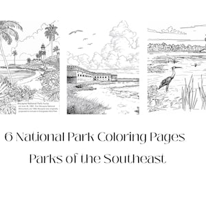 Adult Coloring Pages, Nature Coloring Page, Camping Activity, National Park Coloring, Kids Coloring Pages, Adult Coloring, National Park Kid