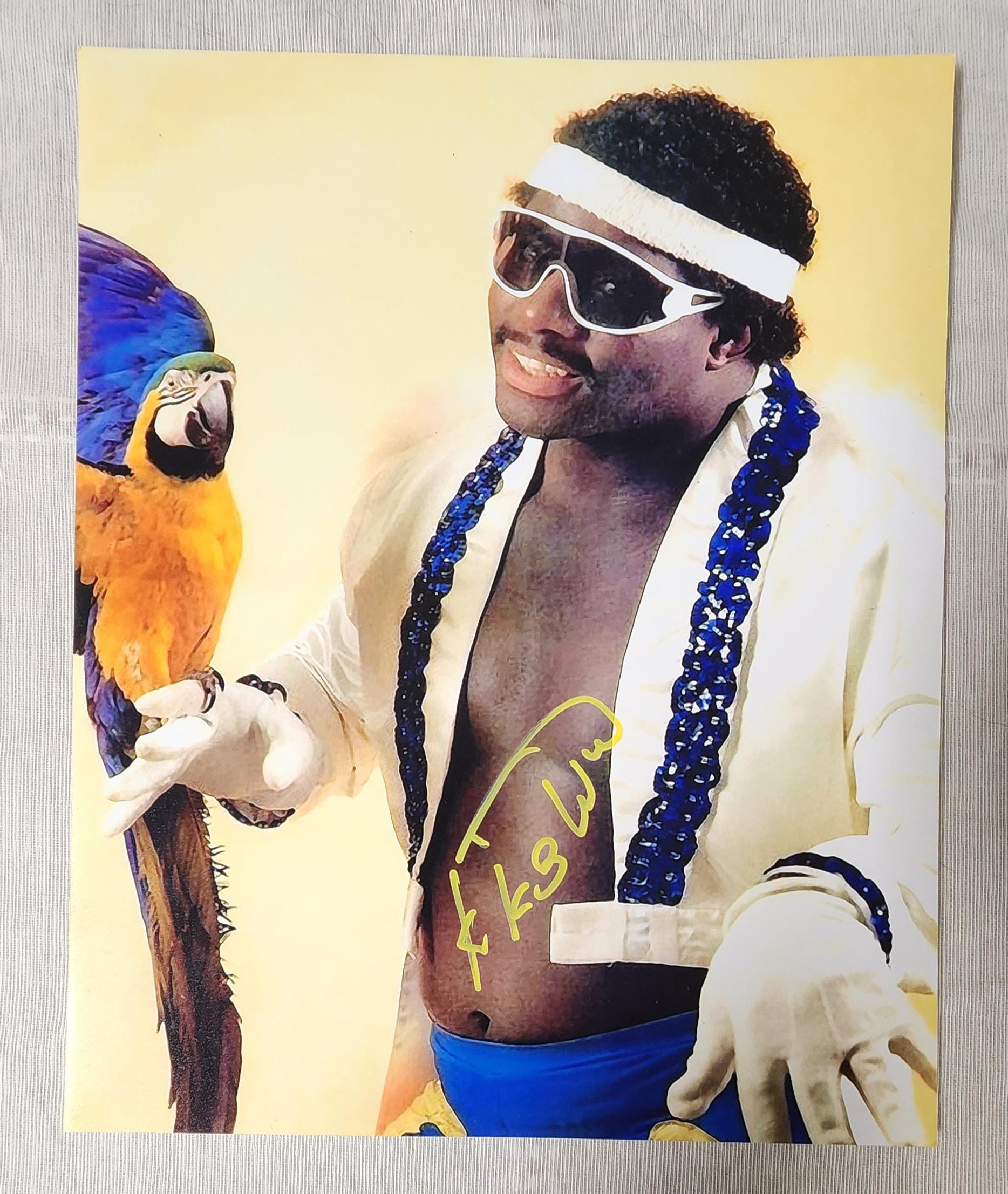 Buy Koko B Ware Online In India - Etsy India