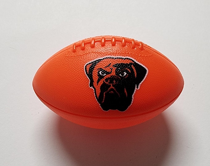 Small NFL Plastic Football Cleveland Browns