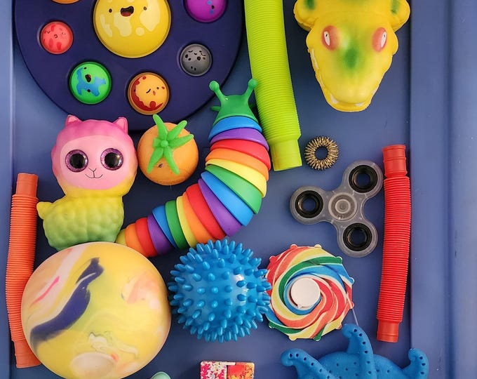 Fidget Toy Bundle Designed to Provide Sensory Input and Physical Movement 30+ Pieces Included