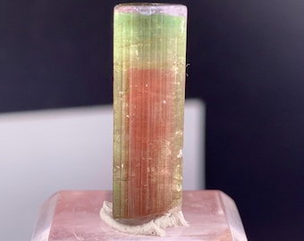 Cristal de tourmaline bicolore d'Afghanistan - 15,0 carats