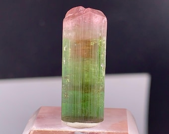 Cristal de tourmaline bicolore d'Afghanistan - 20 carats
