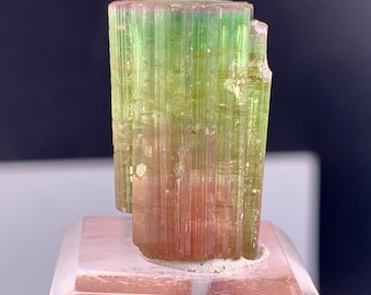 Cristal de tourmaline bicolore d'Afghanistan - 35,0 carats