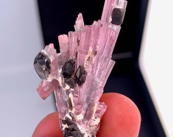 Spray tourmaline barbe à papa et quartz fumé d'Afghanistan - 41,5 carats
