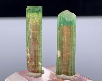 Cristaux de tourmaline bicolore d'Afghanistan - 18,5 carats