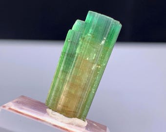 Cristal de tourmaline pastèque d'Afghanistan - 14,0 carats