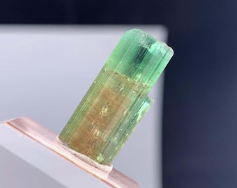 Cristal de tourmaline bicolore d'Afghanistan - 10,0 carats