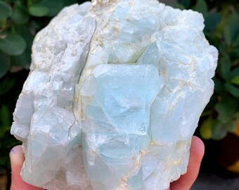 Cristal bleu aigue-marine sur matrice du Pakistan - 1068 grammes