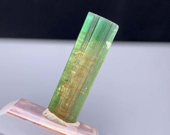Cristal de tourmaline bicolore d'Afghanistan - 11,0 carats