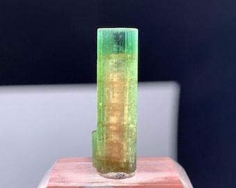Cristal de tourmaline pastèque d'Afghanistan - 8,75 carats