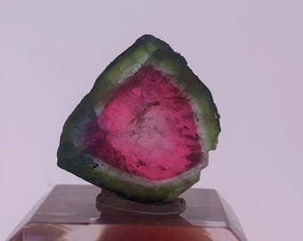 Tranche de tourmaline pastèque d'Afghanistan - 13,05 carats