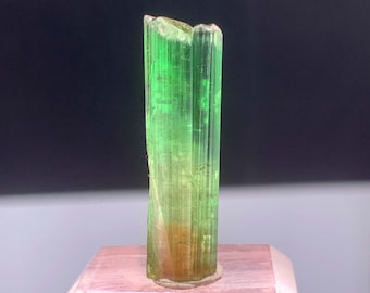 Cristal de tourmaline bicolore d'Afghanistan - 11,90 carats