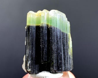 Green Cap Tourmaline Crystal From Pakistan - 19 Gram