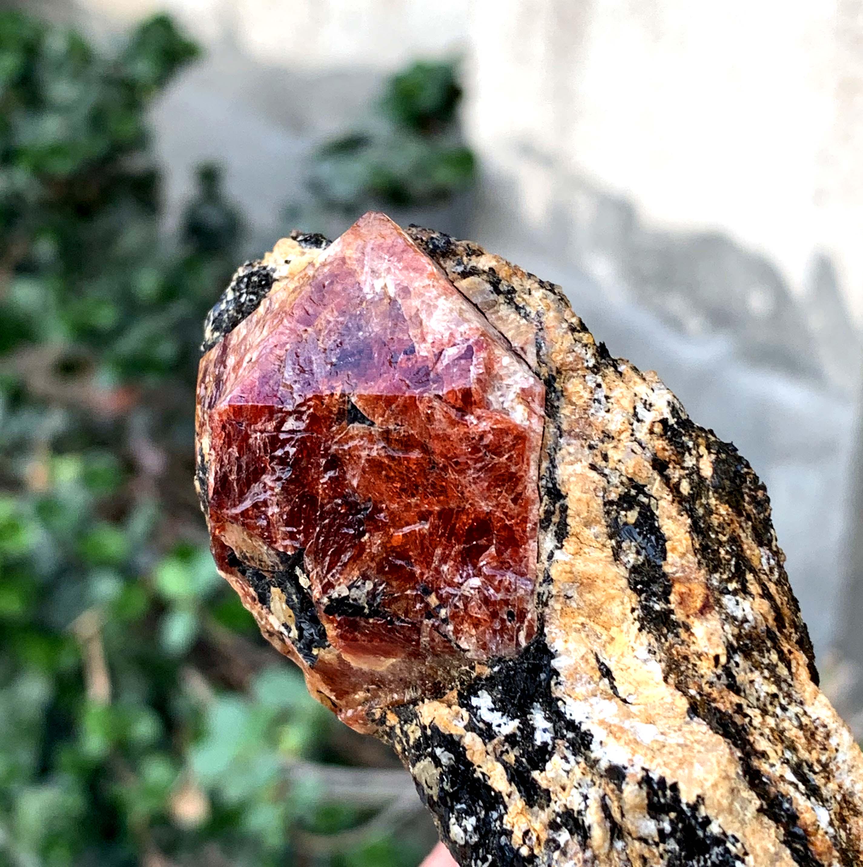 パキスタン産の血のように赤いジルコン結晶（マトリックス付き） - 341
