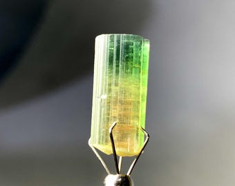 Bicolor Tourmaline Crystal From Afghanistan 9.70 Carats