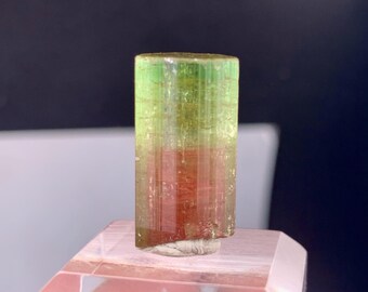 Cristal de tourmaline bicolore d'Afghanistan - 21,0 carats