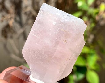 Zweifarbiger Aquamorganit Kristall aus Pakistan - 24 Gramm