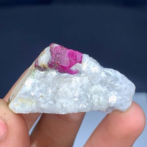May include: A raw, uncut ruby gemstone with a vibrant, deep red hue, set against a matrix of white and gray rock. The ruby is the focal point, showcasing its natural, unpolished texture. The stone is held in a hand, with a dark blue background.