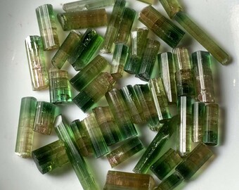 Bicolor Tourmaline Crystal From Afghanistan - 39 Gram