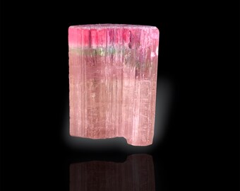 Cristal de tourmaline bicolore d'Afghanistan - 35,0 carats