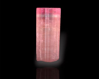 Cristal de tourmaline bicolore d'Afghanistan - 15,0 carats