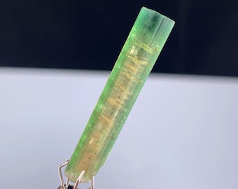 Cristal de tourmaline bicolore d'Afghanistan - 10,0 carats