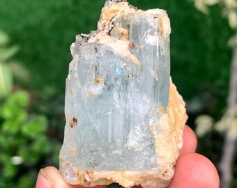 Cristal d'aquamorganite avec tourmaline Schorl sur albite du Pakistan - 66 grammes