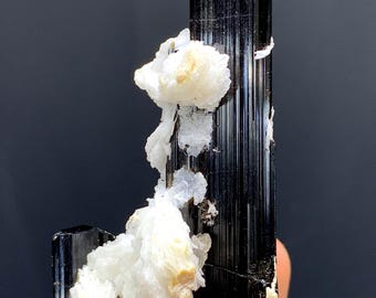 Cristal de tourmaline noire Schorl sur albite du Pakistan - 37 grammes