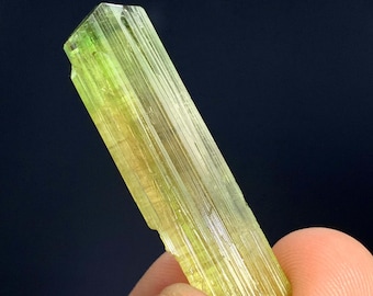 Bicolor Tourmaline Crystal From Afghanistan - 29.5 Carats