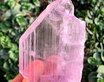 Cristal de kunzita rosa transparente de Afganistán - 189 gramos