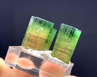 Cristal de tourmaline bicolore d'Afghanistan 33,40 carats
