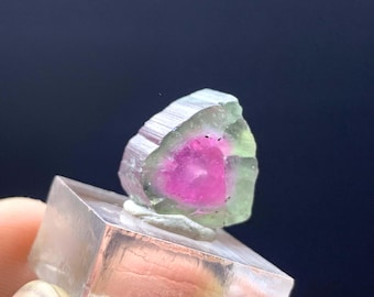 Tranche de tourmaline pastèque d'Afghanistan - 12,00 carats